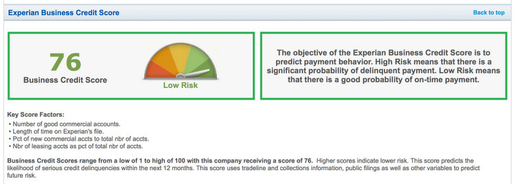 BUSINESS CREDIT REPORT 1
