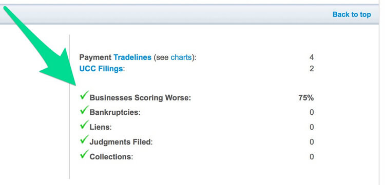 BUSINESS_CREDIT_REPORT_3-1