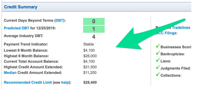 BUSINESS_CREDIT_REPORT_3